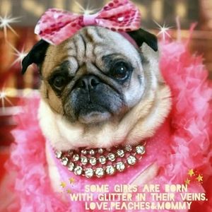 Meet your Posher, Irma